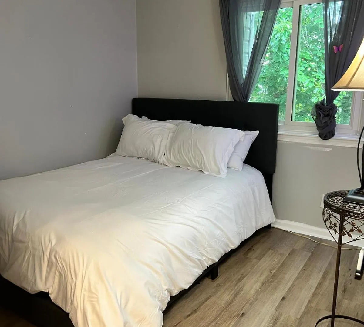 3 Bliss Hideaway'S Apartment Virginia Beach